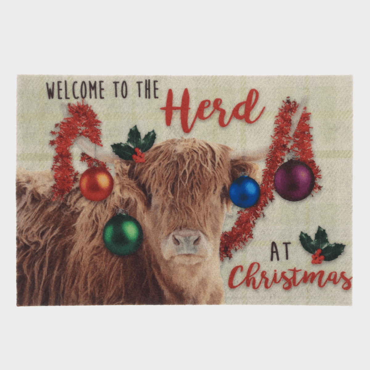 Xmas Printed Door Mat 40x58cm from You Know Who's