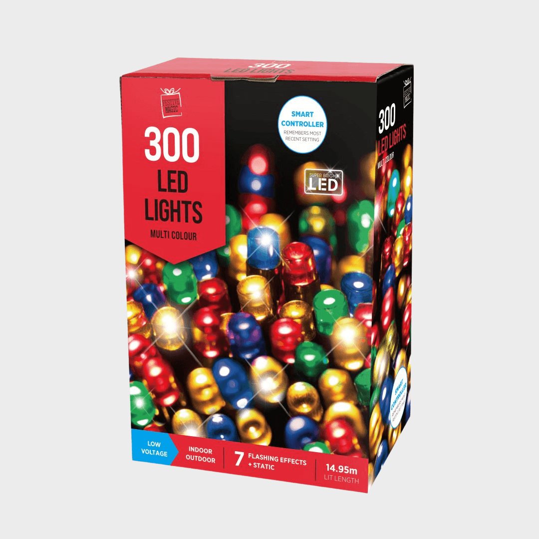 300 LED Multicoloured Lights from You Know Who's