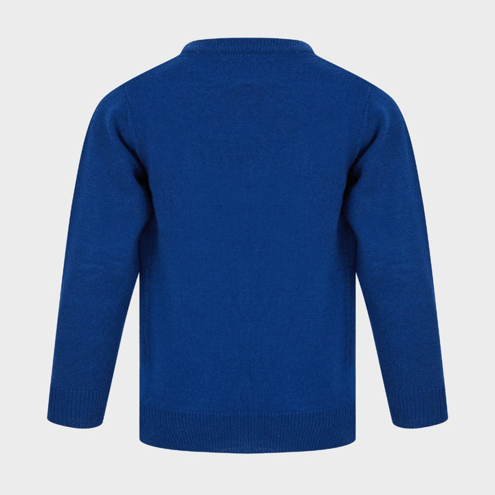 Boys Snowball Reindeer Christmas Jumper Blue from You Know Who's