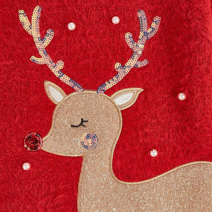 Girls Reindeer Jumper from You Know Who's