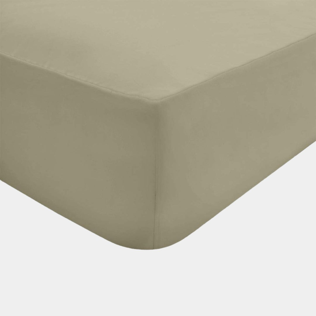 Sleepdown Fitted Sheet Taupe 180T Non Iron from You Know Who's